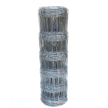 Venanza de campo de alambre de alambre tejido fijo al por mayor de zinc de servicio